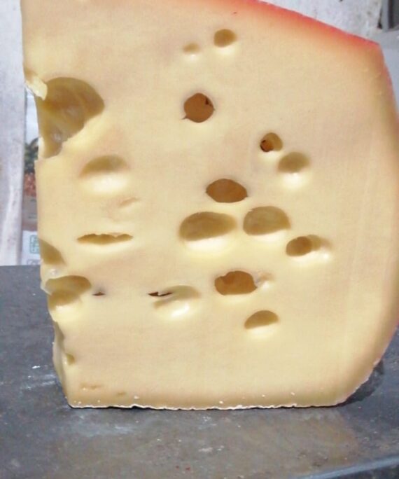Queso Colonia oferta
