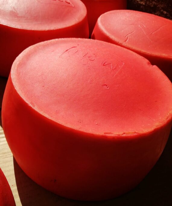 Queso Colonia M200